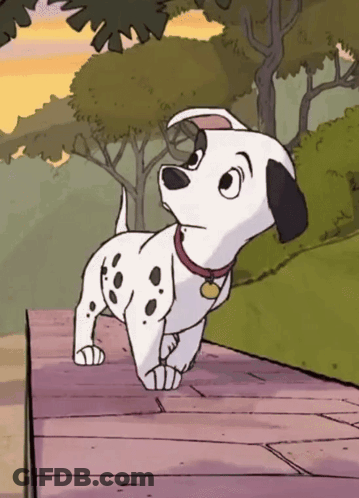 Dalmatian Dog With Red Collar And Tag GIF