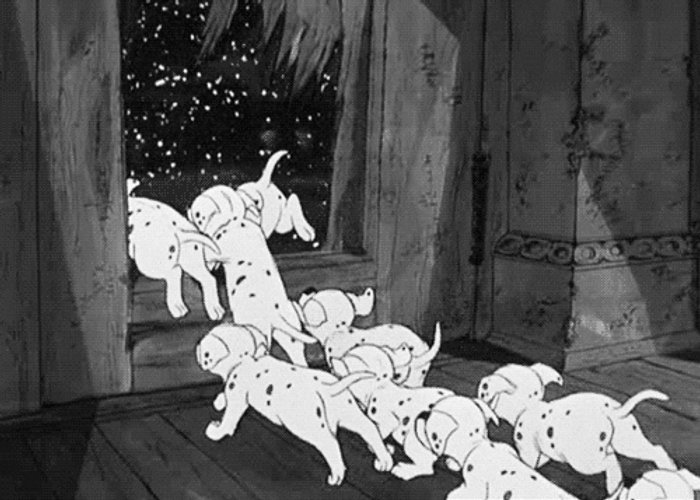 Dalmatian Puppies Running Away GIF