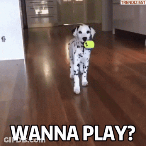 Dalmatian Puppy Holding Tennis Ball Saying Wanna Play GIF