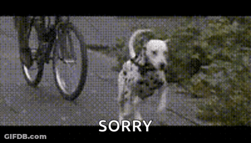 Dalmatian Standing Next To Bicycle GIF