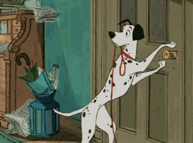 Dalmatian Walking Leash GIF