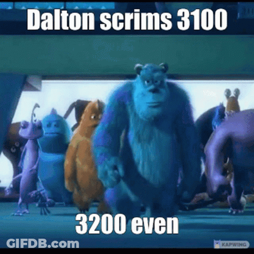 Dalton Scrims 3100 3200 Even GIF