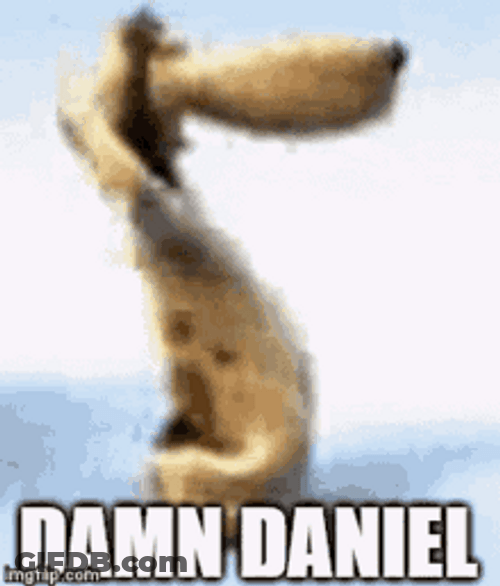 Damn Daniel Dog Dancing GIF