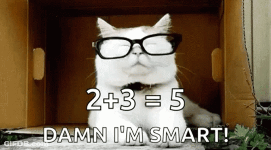 Damn Im Smart White Cat GIF