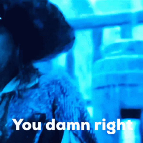 Damn Right Captain Barbossa Pirates Of The Caribbean GIF