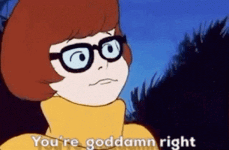 Damn Right Velma Dinkley Scooby Doo GIF