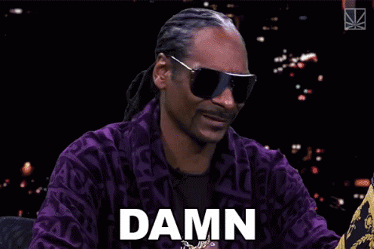 Damn Snoop Dogg GIF