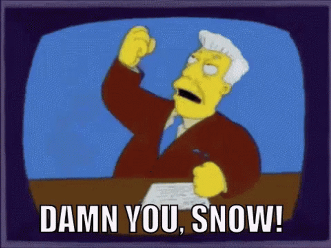 Damn You Snow The Simpsons GIF