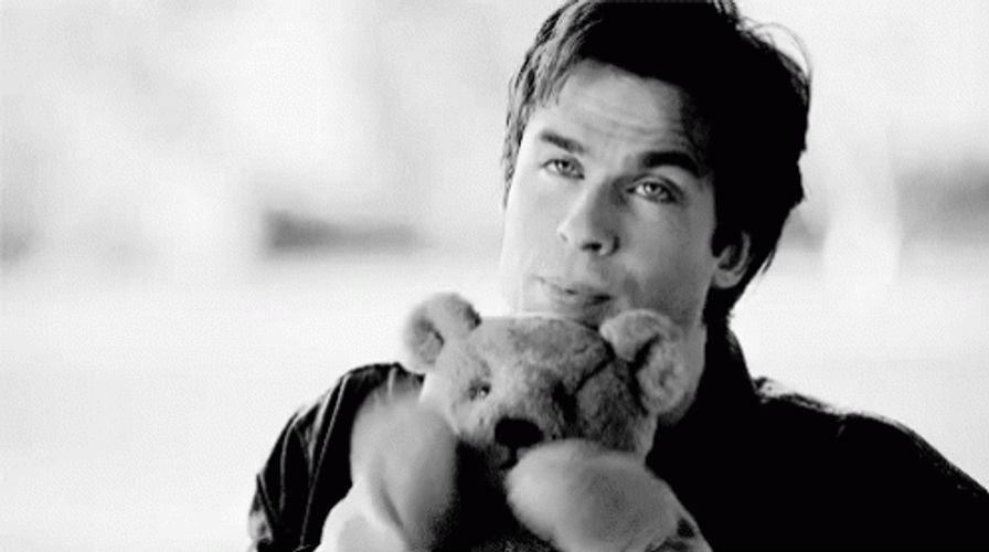 Damon Salvatore Funny Teddy Bear GIF