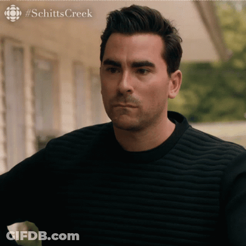 Dan Levy I Want That GIF