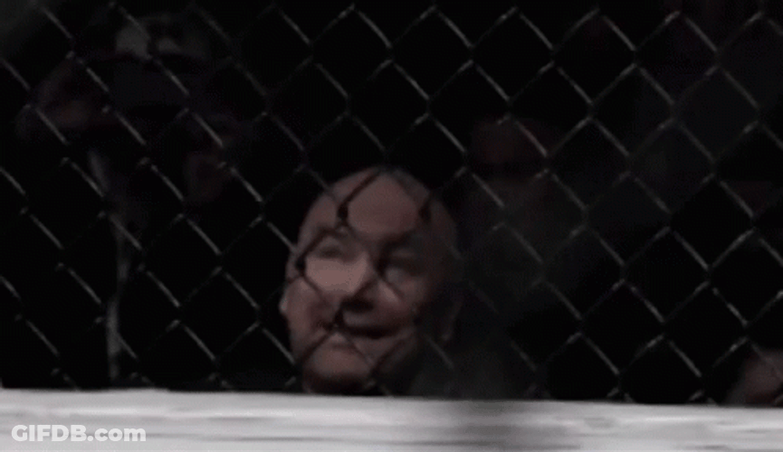 Dana White On The Corner GIF