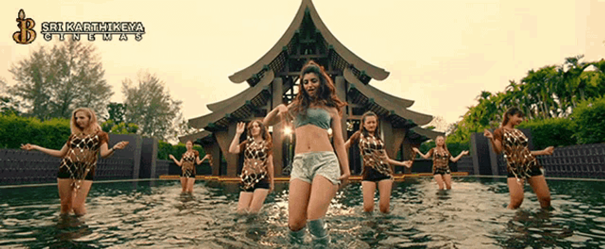 Dance Belly Dance GIF