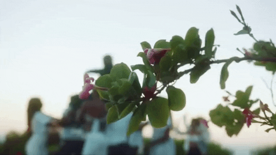 Dance Celebration Mazel Tov GIF
