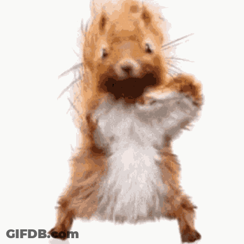 Dance GIF