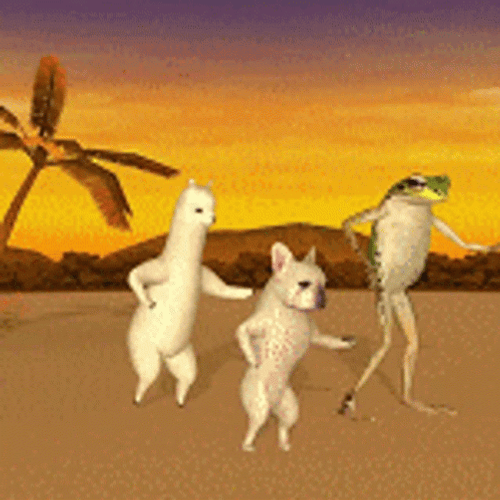 Dance Meme Funny Island Animals GIF