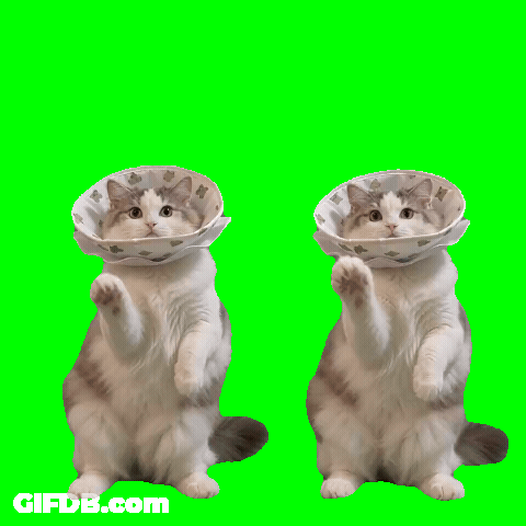 Dance The Night 1.0 GIF