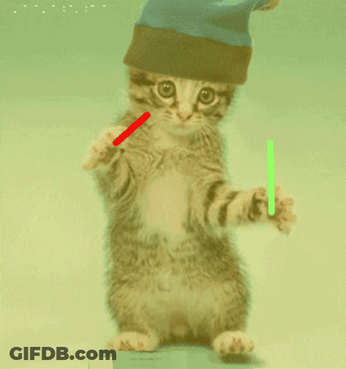Dancing Animal Cat Holding Lightsaber GIF