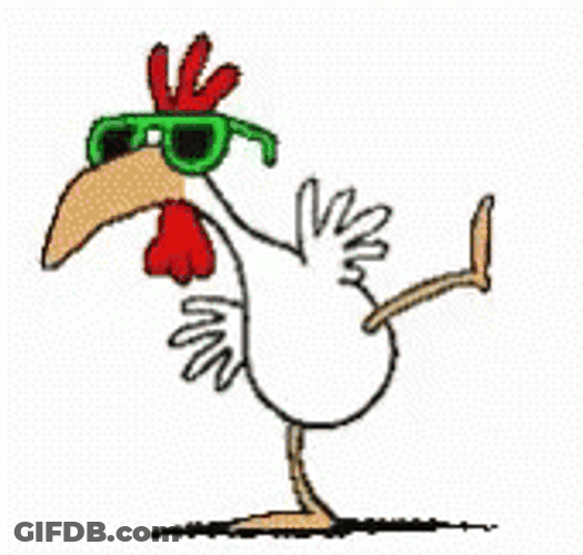 Dancing Animal Chicken Dance GIF