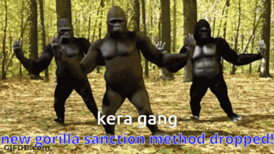 Dancing Animal Gorilla Dancing GIF