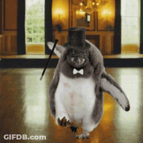 Dancing Animal Penguin Cap GIF
