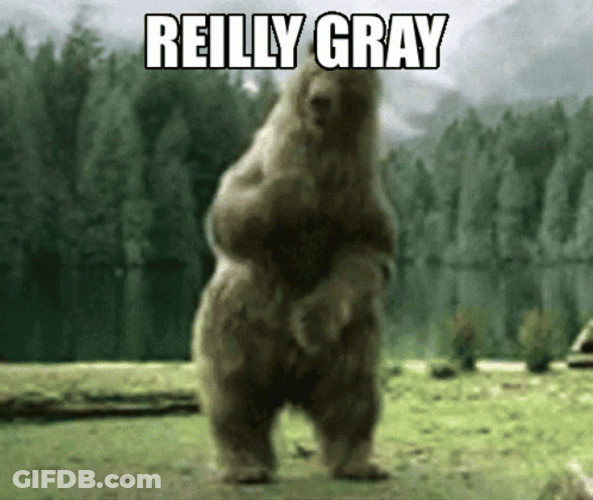 Dancing Animal Really Gray GIF