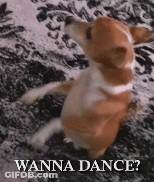 Dancing Animal Wanna Dance GIF