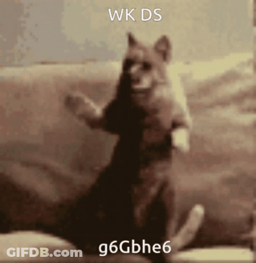 Dancing Animal Weird Dance GIF