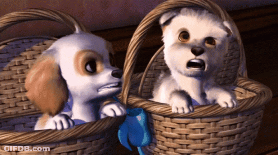 Dancing Barbie Dogs Begging In Basket GIF