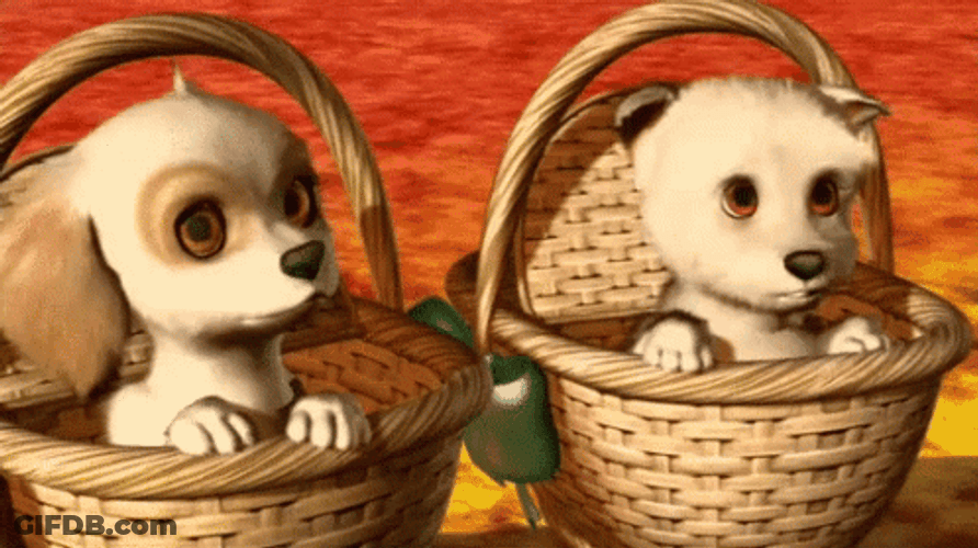 Dancing Barbie Dogs Wandering Eyes GIF