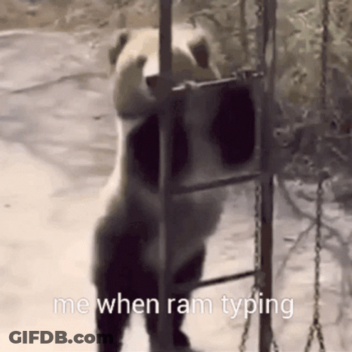 Dancing Bear Lose Control GIF