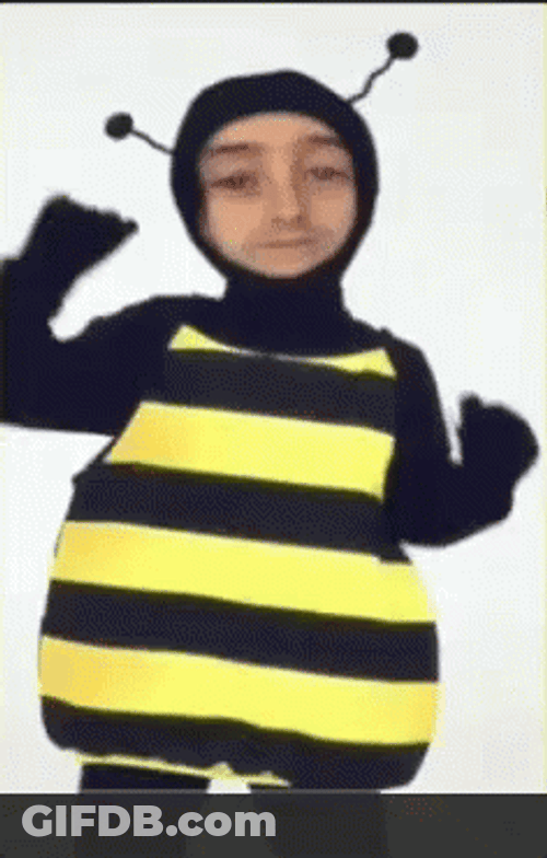 Dancing Bee Snapchat Meme GIF