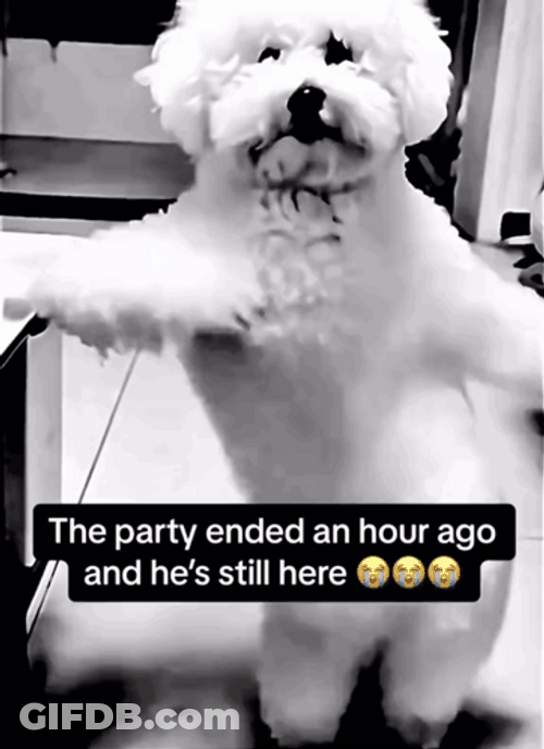 Dancing Big Dawg GIF