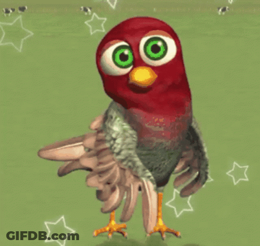 Dancing Bird Chicken Dance GIF