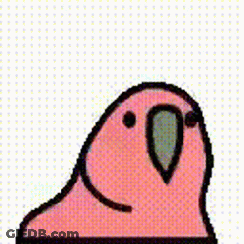 Dancing Bird Fast Neon Animation GIF