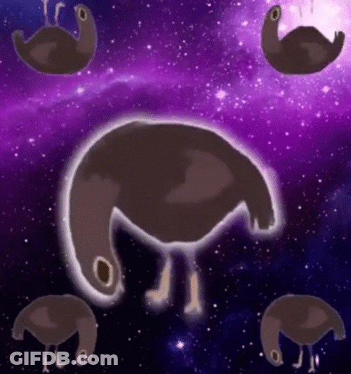 Dancing Bird Trash Doves Galaxy GIF