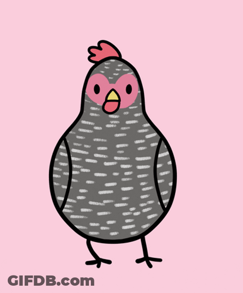 Dancing Black And White Animated Chicken GIF