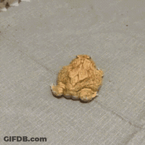 Dancing Brown Frog Funny Butt Shake GIF