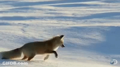 Dancing Cartoon Characters Wearing Hats And Sunglasses GIF