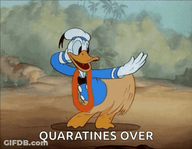 Dancing Cartoon Donald Duck GIF