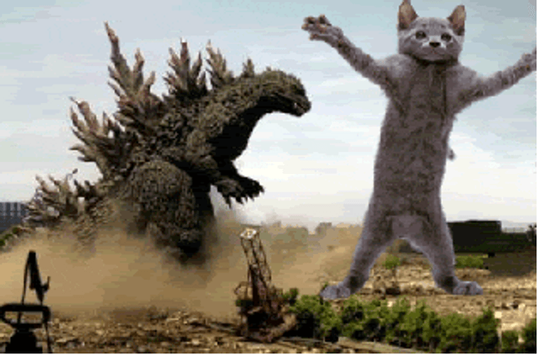 Dancing Cat And Godzilla GIF