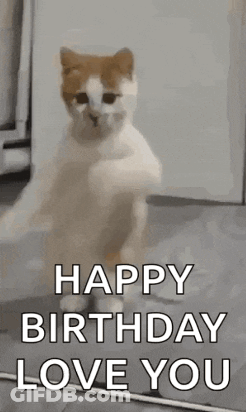 Dancing Cat Dance GIF