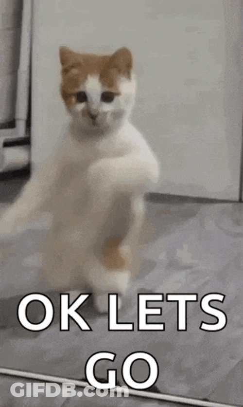 Dancing Cat Dance GIF