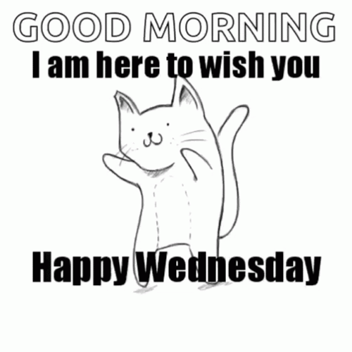 Dancing Cat Funny Good Morning Wednesday GIF
