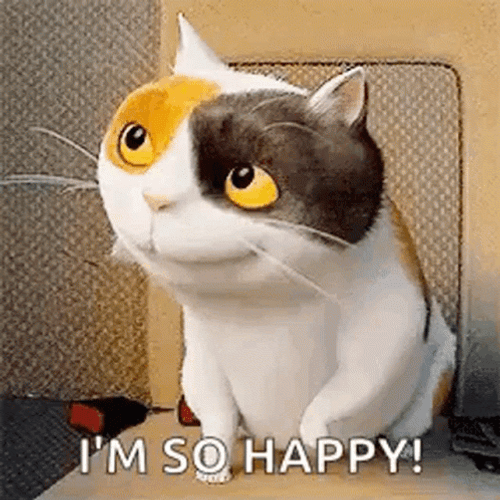 Dancing Cat I'm So Happy GIF