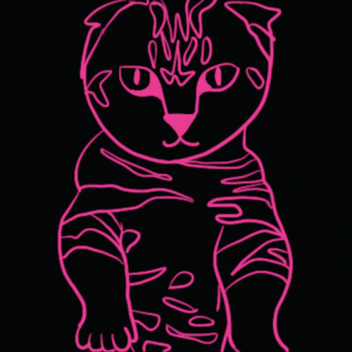Dancing Cat Neon GIF