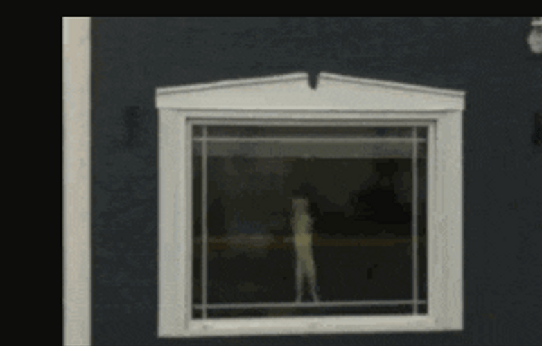 Dancing Cat Through Window GIF