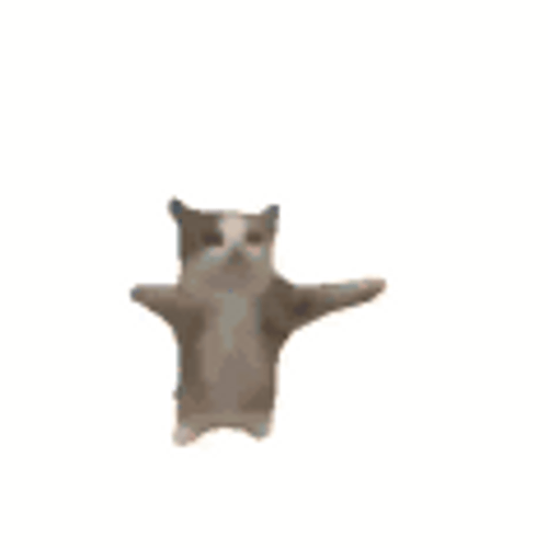 Dancing Cat Yippee Meme GIF