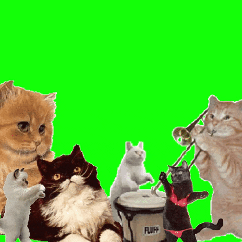 Dancing Cats With Music Instruments GIF