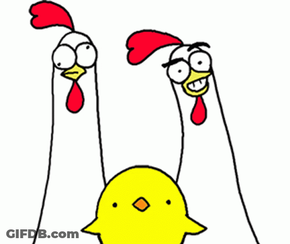 Dancing Chicken Fighters GIF