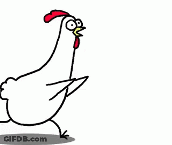 Dancing Chicken So No Head GIF